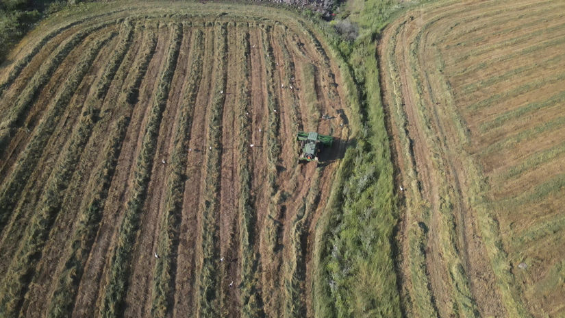 DJI_0478